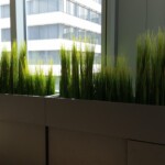 Sideboardbegrünung Rezeption